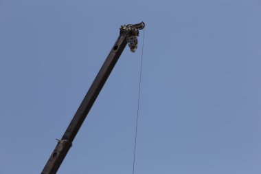 Uzun boyunlu vinç mimarisi için