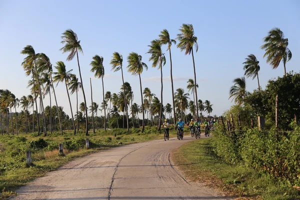 在泰国 koh-sukorn palian trang 骑自行车 免版税图库图片