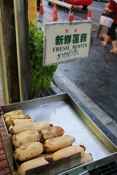 Raiz de lótus chinês fresco — Fotografia de Stock