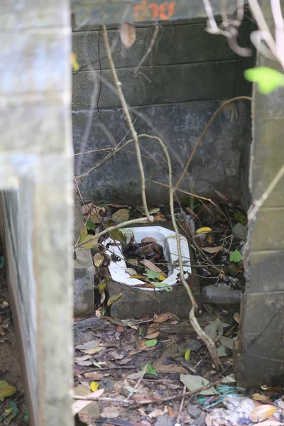 Abandoned toilet full with leaf — Stock Photo, Image