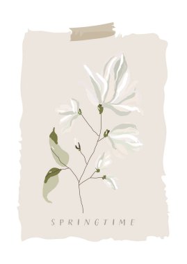 Magnolia çiçek dalı bej arka planda çizilmiş
