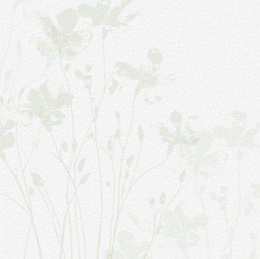 Narin, suluboya, botanik, dijital kağıt, çiçek arkaplanı, basit, çıplak, yeşil tonlarda. Beyaz organik kağıt dokusunda nötr zarif desen