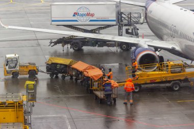 Rusya, Moskova, Sheremetyevo Havaalanı, 01.04.2021. Yükleyiciler havayolunun uçağından bavulları indiriyor. Sadece editörler kullanır. Servisler, yağmurlu havada havaalanında iş yaparlar..