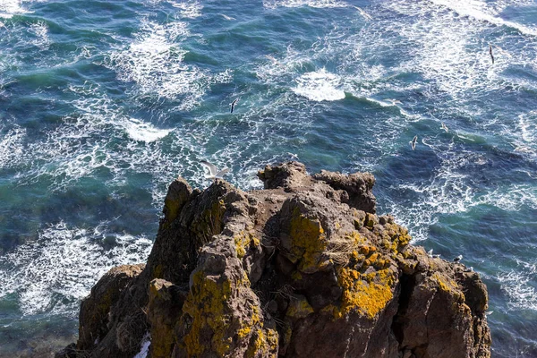 Rusia Kamchatka Cabo Mayachny Las Frías Aguas Del Océano Pacífico — Foto de Stock