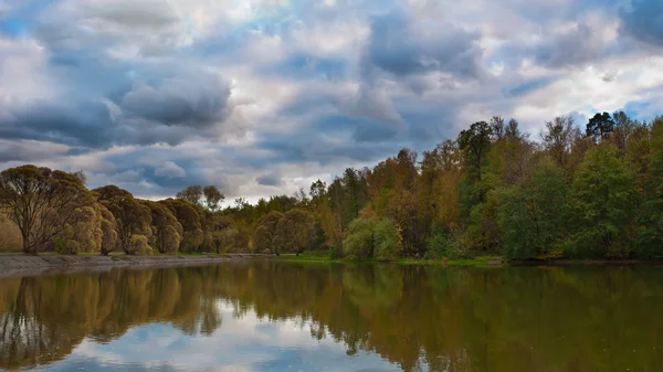 Pond park — Stock Photo, Image