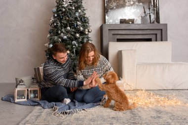 Şık süveter giyen mutlu bir aile Noel ağacıyla şenlik odasında sevimli bir köpekle eğleniyor. Duygusal anlar. Mutlu Noeller ve mutlu yıllar konsepti. Mutlu tatiller