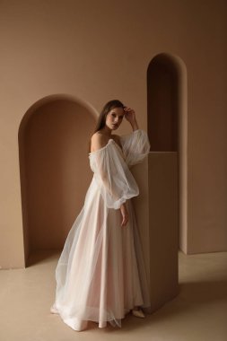 Büyümekte olan güzel bir gelinin portresi. Pencerenin yanındaki odada poz veren kız.