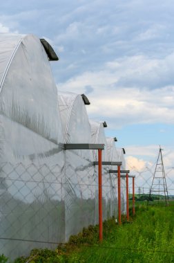 Ukrayna 'da gökyüzüne karşı bulutlu seralar.