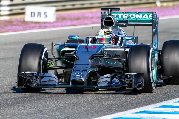 Mercedes Amg Petronas F1 — Stock fotografie