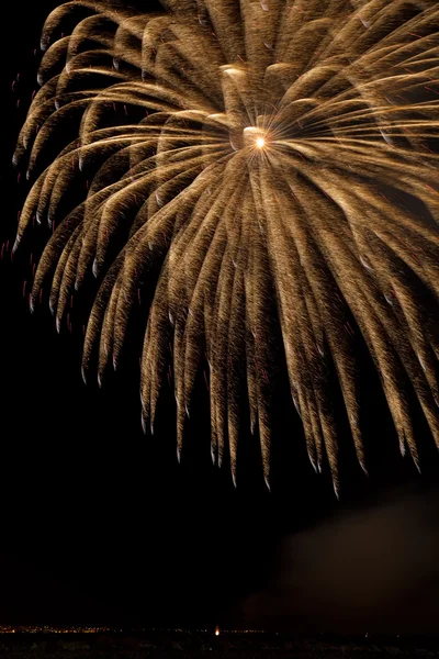 Fuochi d'artificio nel cielo notturno — Foto Stock