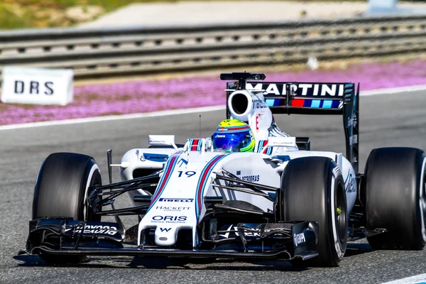 Williams Martini Racing F1 Team — Zdjęcie stockowe