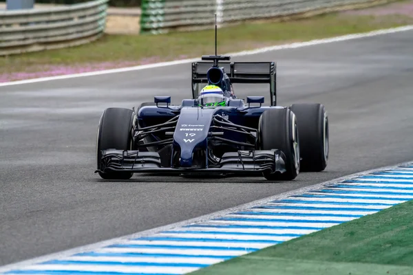Team Williams F1, Felipe Massa — Stock Photo, Image