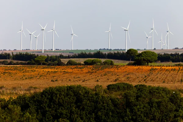 Moinhos de vento aerogeradores em campo — Fotografia de Stock
