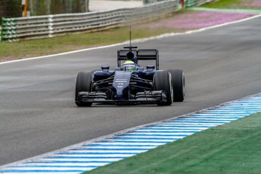 Williams f1, felipe massa takım