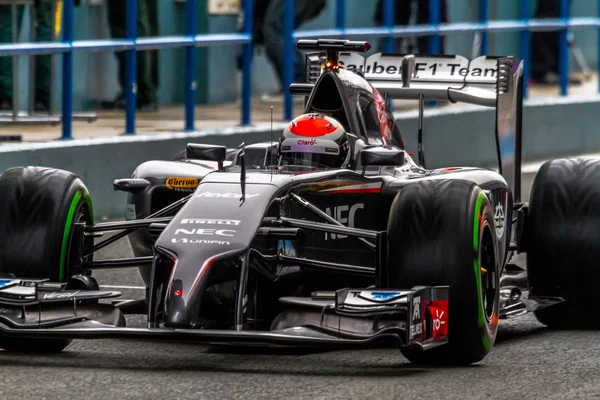 Team sauber f1, Adrian Sutil — Stockfoto