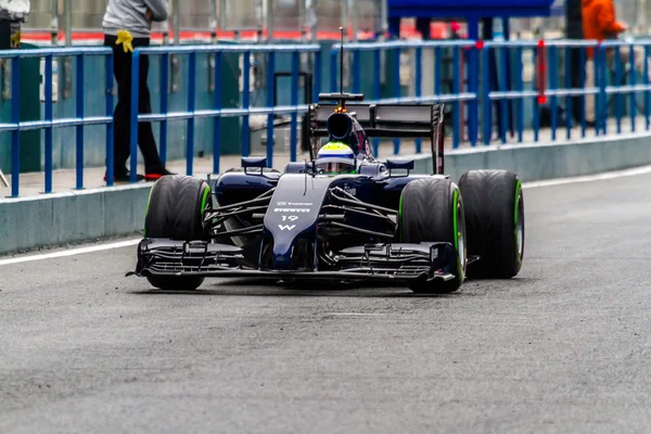 Equipo Williams F1, Felipe Massa — Foto de Stock