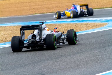 Sauber Motorsport F1 takım Felipe Nasr