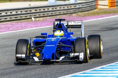 Sauber Motorsport F1 takım Marcus Ericsson