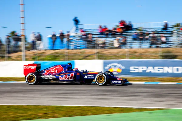 Команда Scuderia Toro Rosso F1 Макса Ферстаппена — стоковое фото