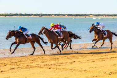 Horse race on Sanlucar of Barrameda clipart