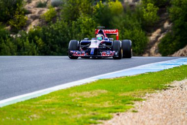 jean-eric vergne, takım toro rosso f1