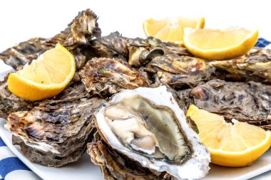 bir tabak üzerinde istiridye