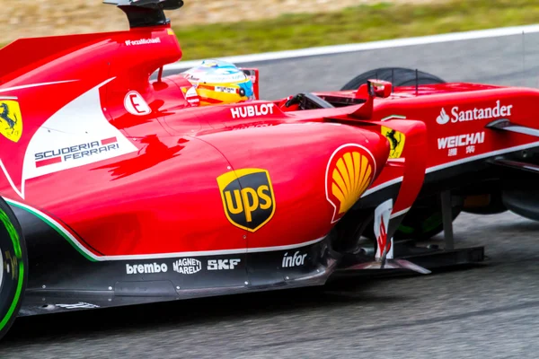 L'équipe scuderia ferrari f1, fernando alonso, 2014 — Photo