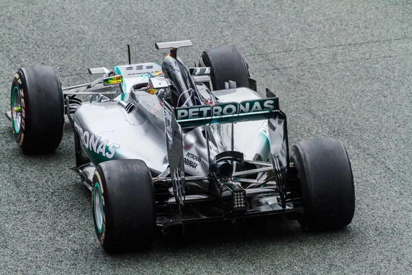 Equipe EQUIPO F1, PILOTO, 2014 — Fotografia de Stock