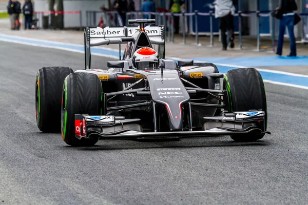 Equipo Sauber F1, Adrian Sutil — Foto de Stock