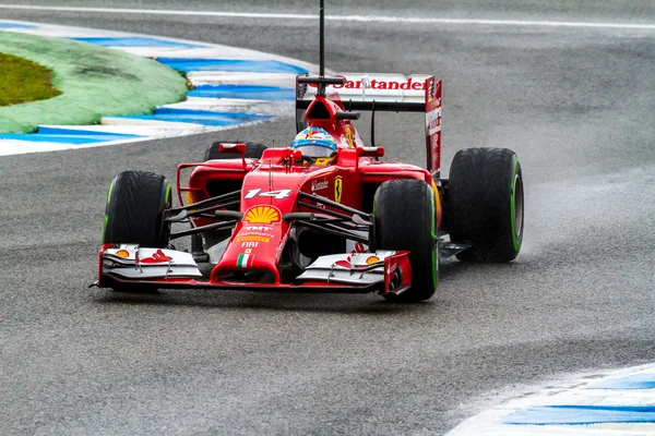 팀 scuderia ferrari f1, 페르난도 알론소, 2014 — 스톡 사진