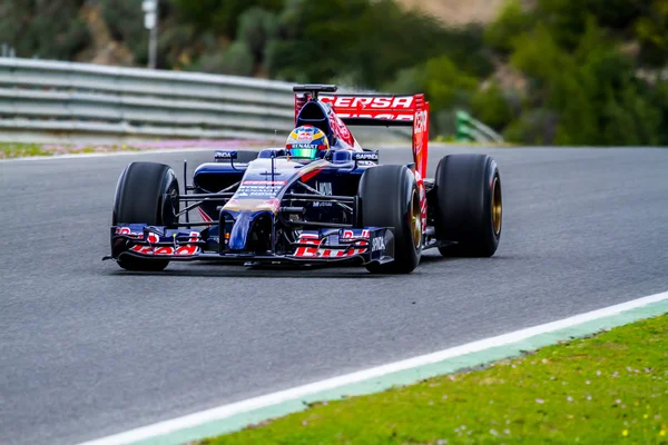 Team Toro Rosso F1, Jean-Eric Vergne, 2014 — Stockfoto