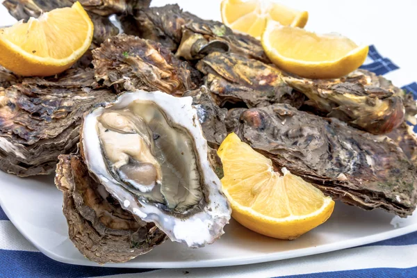 Oysters close-up — Stock Photo, Image