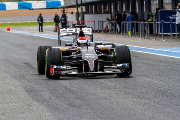 Adrian Sutil Sauber F1 — Zdjęcie stockowe