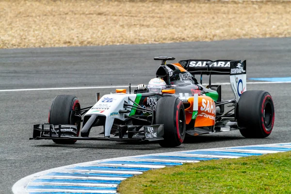 Даниэль Джункаделла из Force India F1 — стоковое фото