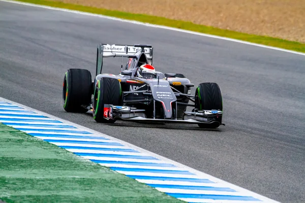 Team Sauber F1, Adrian Sutil, 2014 — Stock Photo, Image