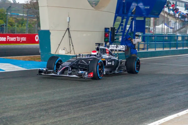 Tým sauber f1, adrian sutil, 2014 — Stock fotografie