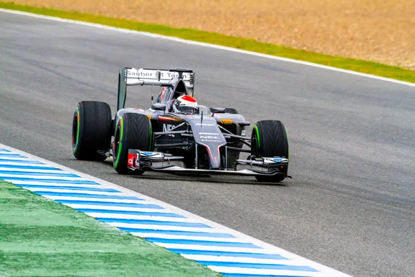 Команда Sauber F1, Адриан Сутил, 2014 — стоковое фото