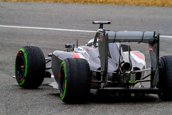 Team Sauber F1, Adrian Sutil, 2014 — Stockfoto