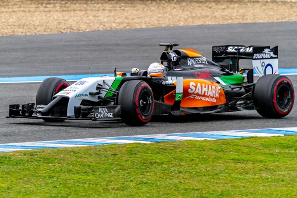 Команда Force India F1, Даниэль Жункаделла, 2014 — стоковое фото