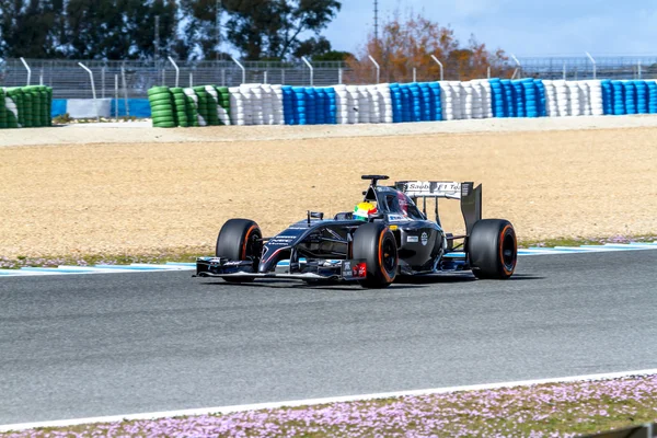 Sauber F1 Team, Esteban Gutierrez, 2014 — Zdjęcie stockowe