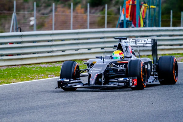 Sauber F1 Team, Esteban Gutierrez, 2014 — Stockfoto