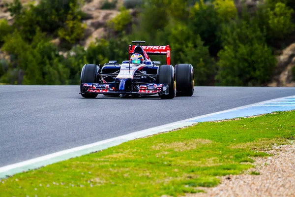 团队 toro rosso f1，吉恩-埃里克 · 沃尼，2014 — 图库照片