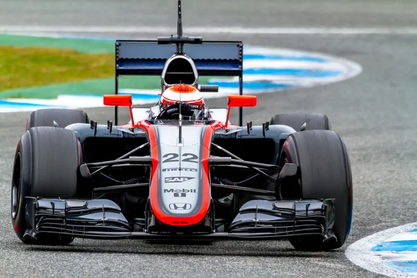 Team McLaren Honda F1,  Jenson Button, 2015 — Stock Photo, Image