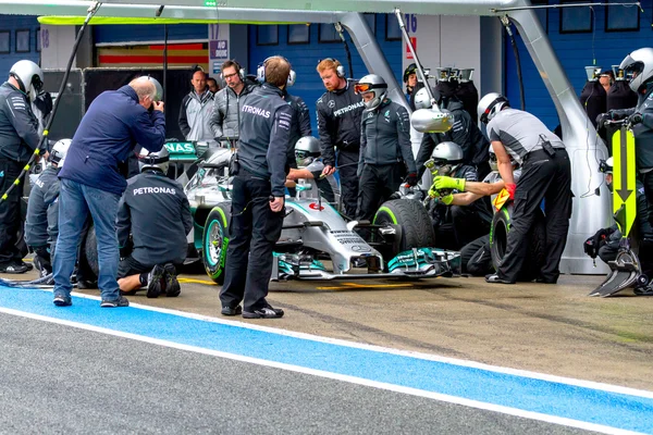 Tim Mercedes F1, Nico Rosberg, 2014 — Stok Foto