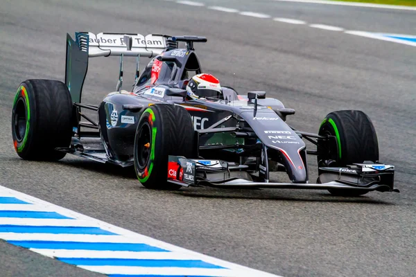 Команда Sauber F1, Адриан Сутил, 2014 — стоковое фото