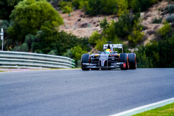 Tým Sauber F1, Esteban Gutierrez, 2014 — Stock fotografie