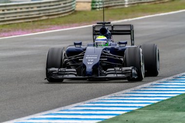 Williams f1, felipe massa takım
