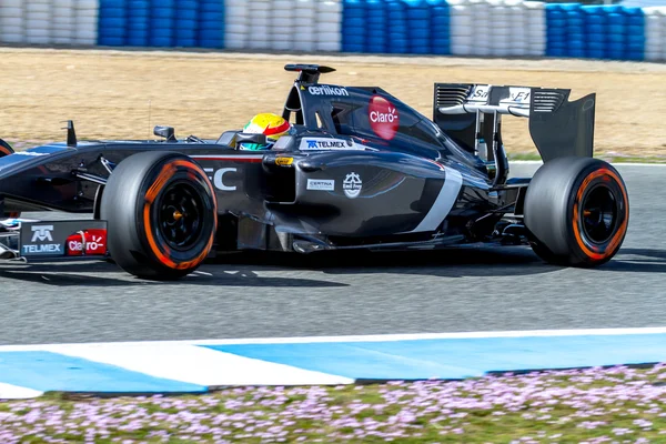 Takımı Sauber F1, Esteban Gutierrez, — Stok fotoğraf