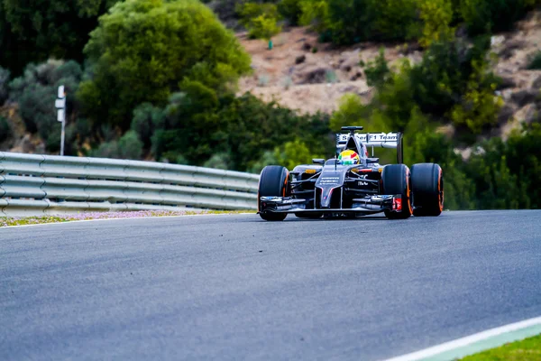 Equipo Sauber F1, Esteban Gutiérrez , —  Fotos de Stock