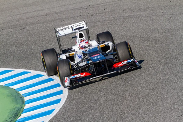 Equipe Sauber F1, Kamui Kobayashi — Fotografia de Stock